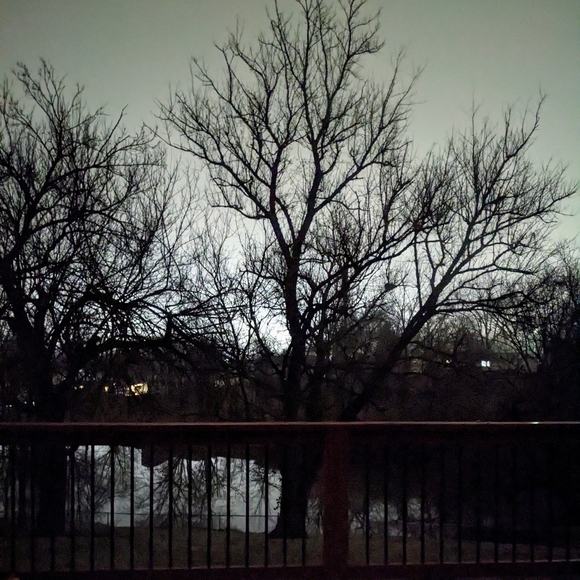 Zap & Zam🥰🎁🧡🤩🌕🥰🌞💀☀️😎🧿🍄🛍️🎁📬🐿️🐕😻❤️ - Picture 7 of 12